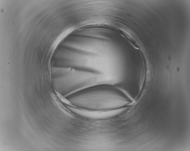 X0000051881242200507151904