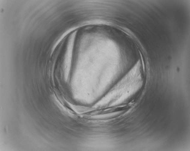 X0000051881244200507151904