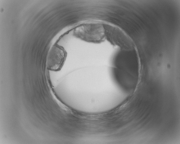 X0000051881245200507151904