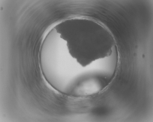 X0000051881247200507151904