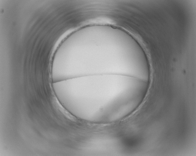 X0000051881248200507151904