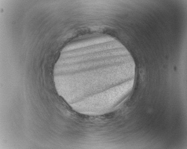 X0000051881249200507151903