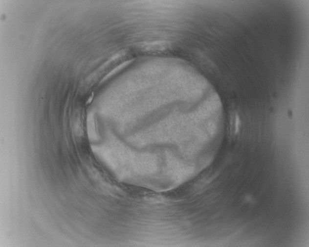 X0000051881250200507151903