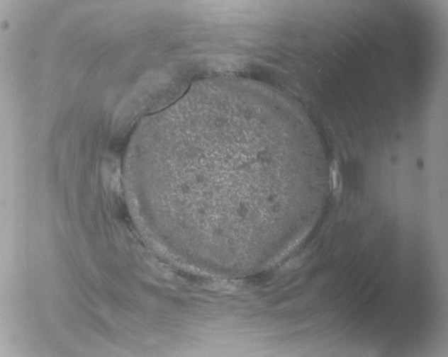 X0000051881251200507151903