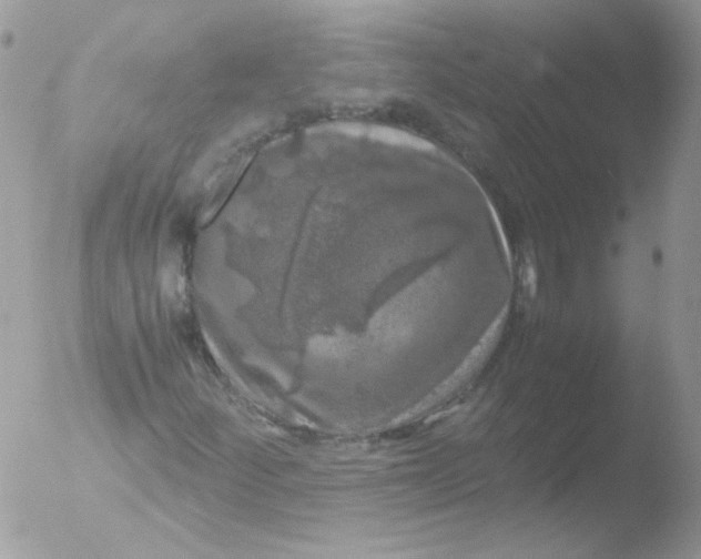 X0000051881252200507151903