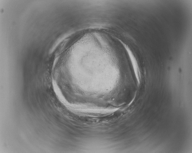 X0000051881256200507151903