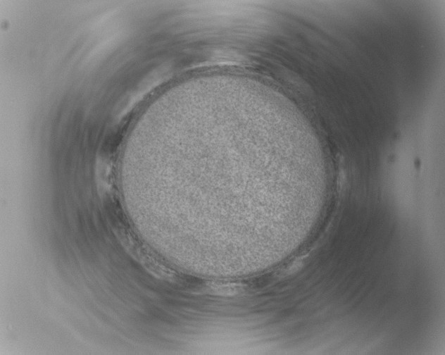 X0000051881258200507151903