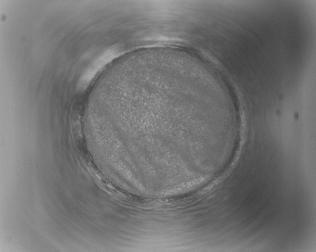 X0000051881259200507151903