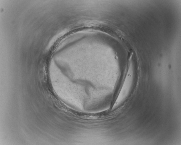 X0000051881261200507151903