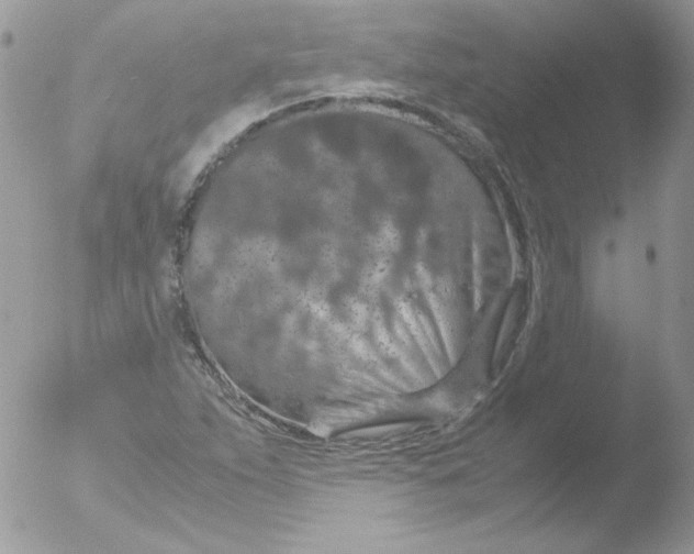 X0000051881263200507151903