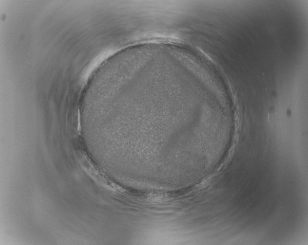 X0000051881267200507151903