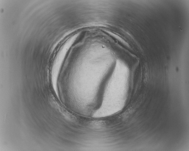 X0000051881268200507151903