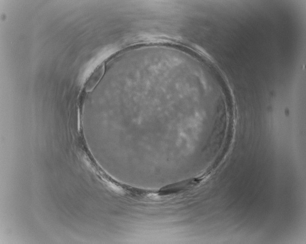 X0000051881269200507151903