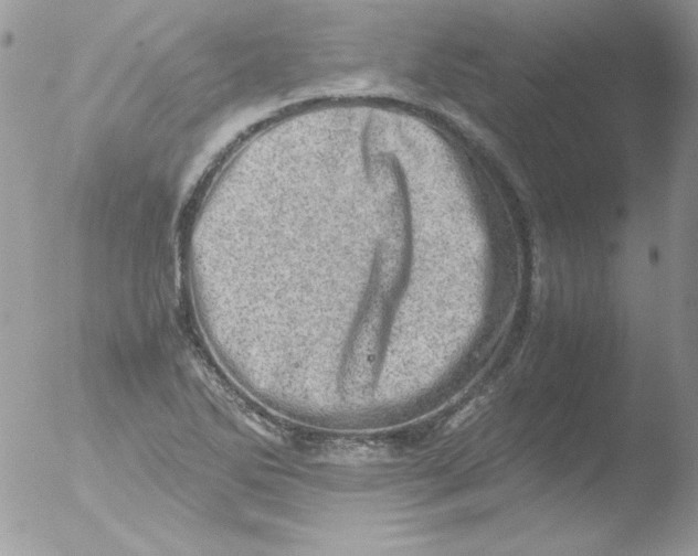 X0000051881270200507151903