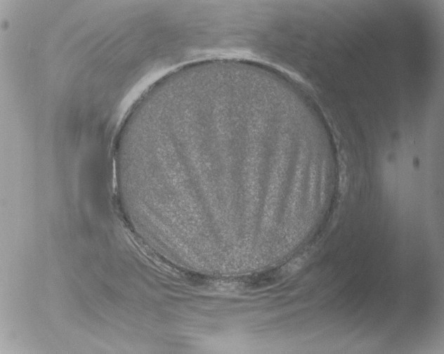 X0000051881271200507151903