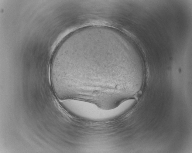 X0000051881272200507151903