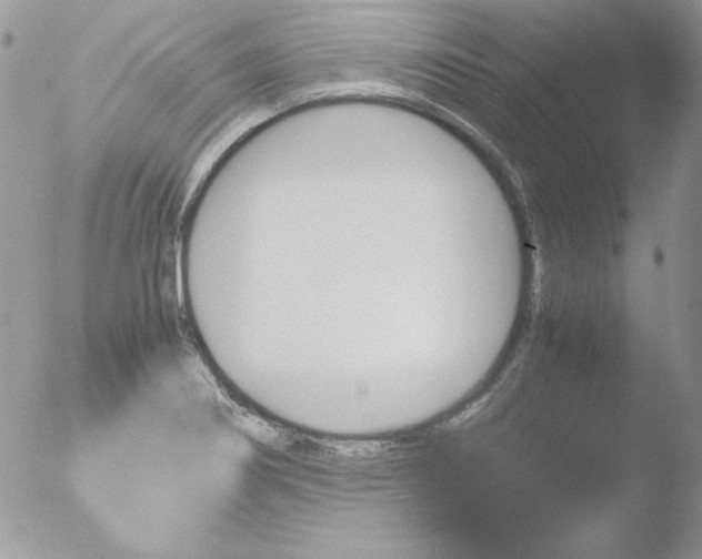 X0000051881274200507151903