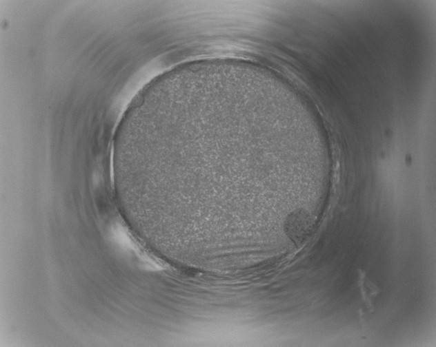 X0000051881275200507151903