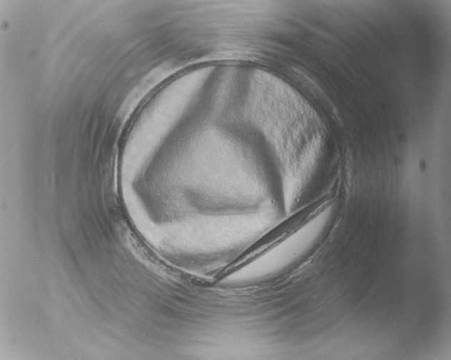 X0000051881276200507151903