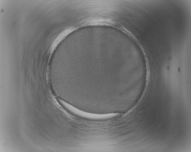 X0000051881277200507151903