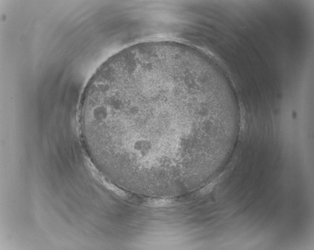 X0000051881278200507151903