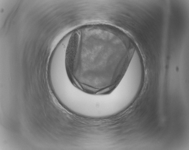 X0000051881279200507151903