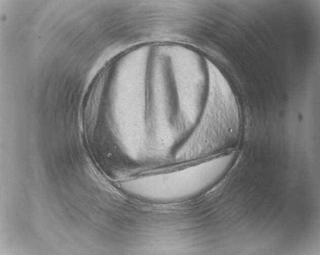 X0000051881280200507151903