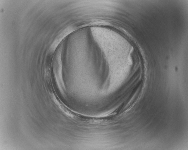 X0000051881281200507151903