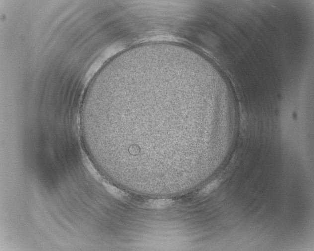 X0000051881282200507151903