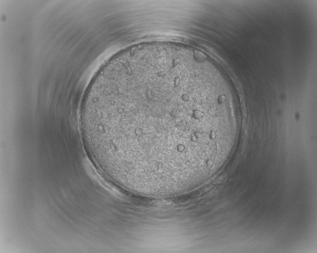 X0000051881283200507151903