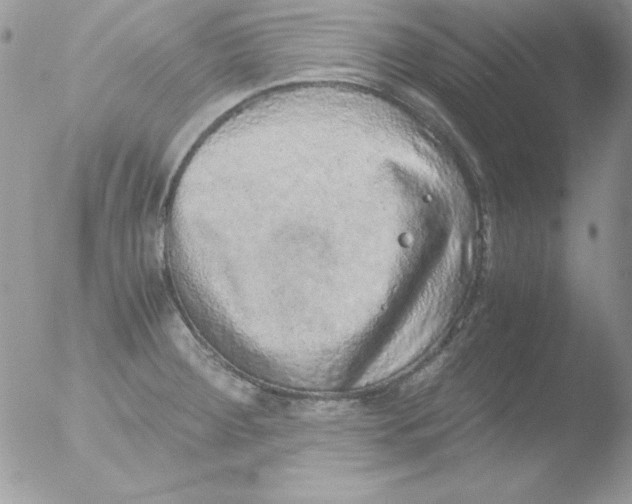 X0000051881284200507151903