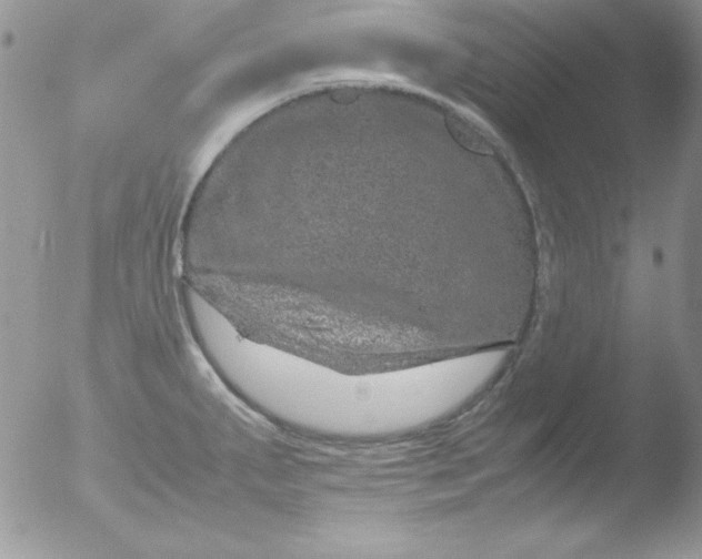 X0000051881287200507151903