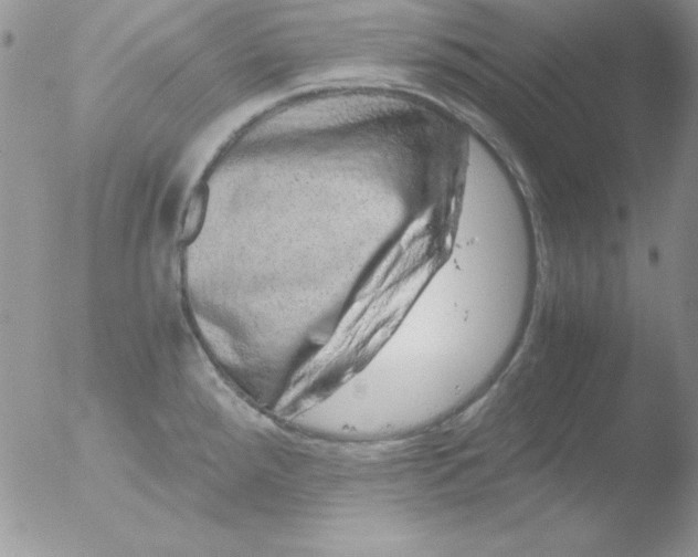 X0000051881288200507151903