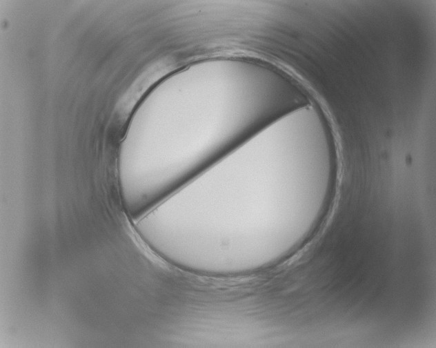 X0000051881289200507151903