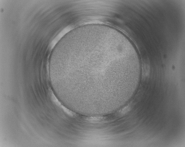 X0000051881290200507151903