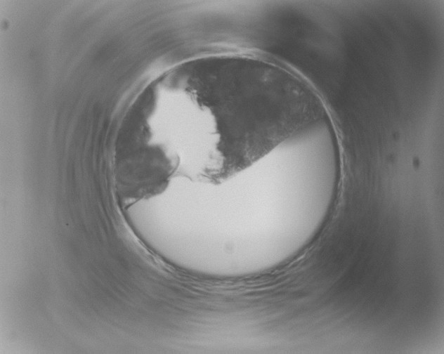 X0000051881291200507151903