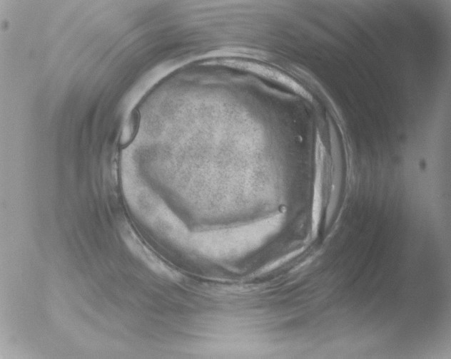 X0000051881292200507151902