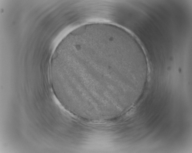 X0000051881295200507151902