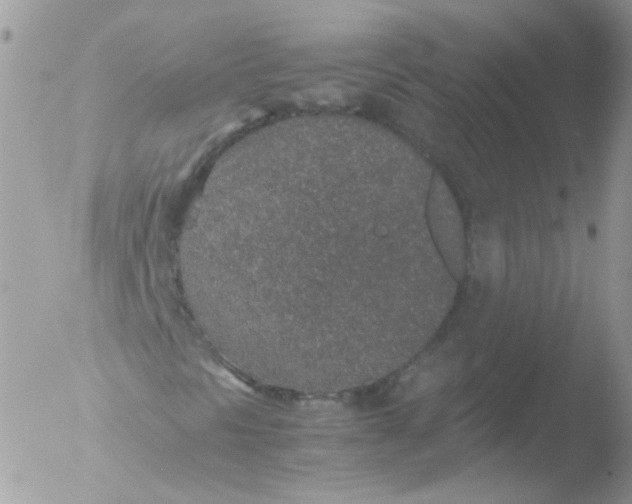 X0000051881297200507151902