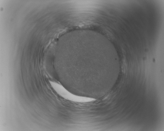 X0000051881298200507151902