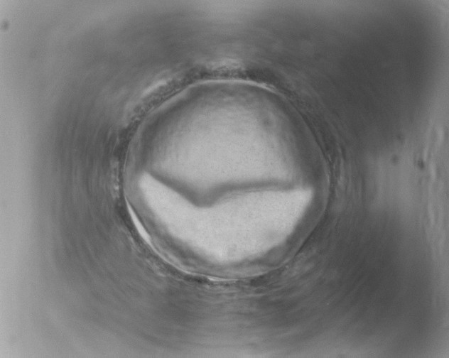 X0000051881301200507151902