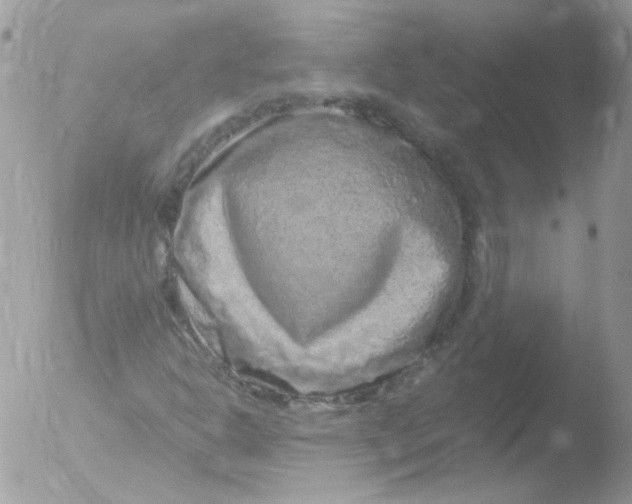 X0000051881302200507151902