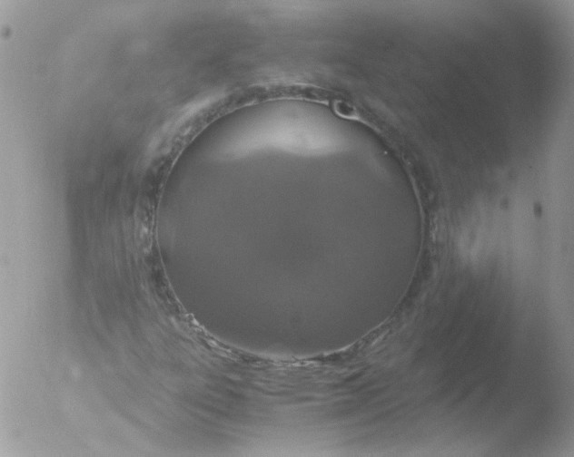 X0000051881303200507151902