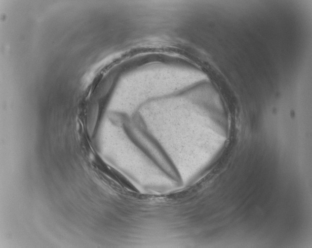 X0000051881304200507151902