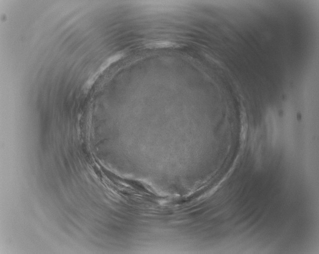 X0000051881305200507151902