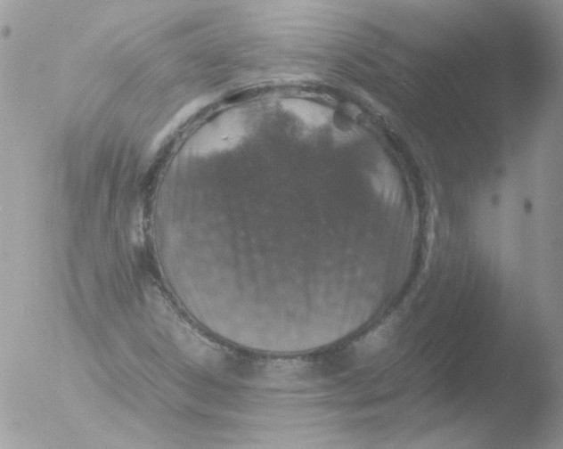 X0000051881306200507151902