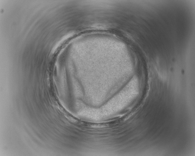 X0000051881307200507151902