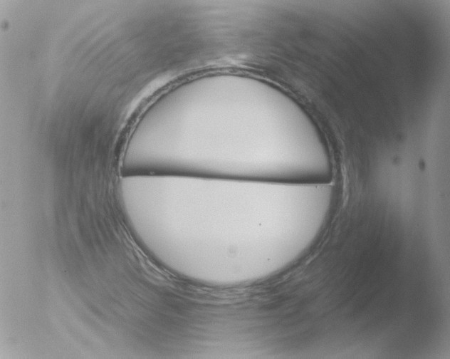 X0000051881308200507151902