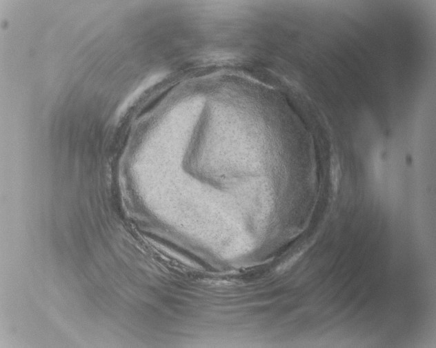 X0000051881309200507151902