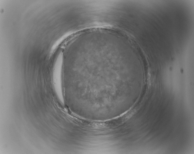 X0000051881310200507151902